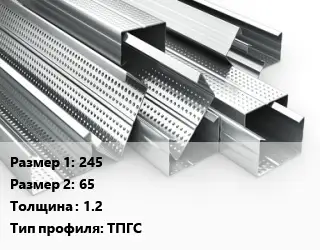 Гнутый профиль 245х65 s=1.2 ТПГС
